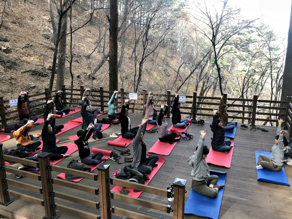 숲속요가스트레칭