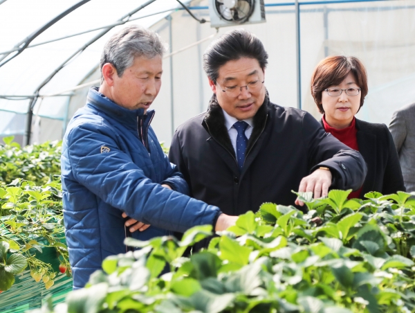 딸기 농가 방문 모습