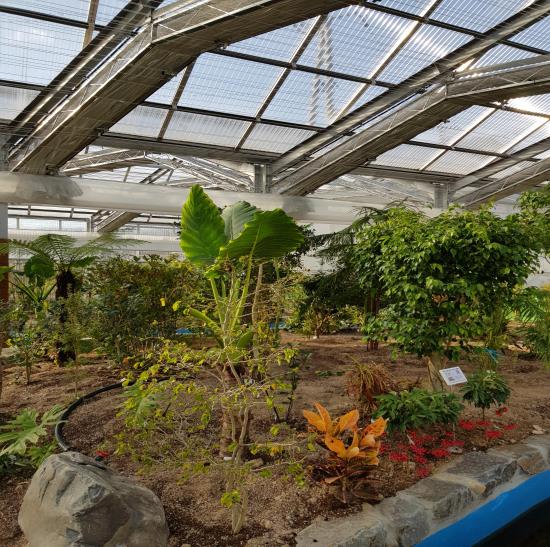 도시농업실증포