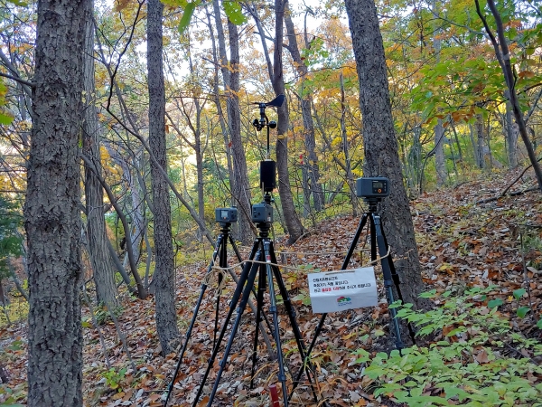 국립산림치유원 피톤치드 포집
