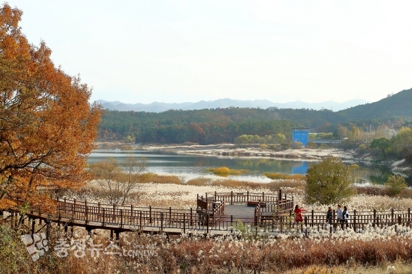 대청호오백리길