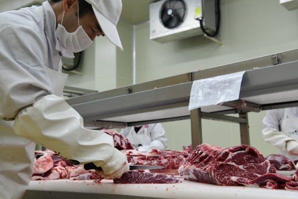 ‘홍성한우’ 세계적 브랜드로 육성 ‘12억 원 투입’