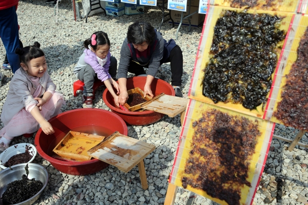 제20회 동백꽃주꾸미 축제, (아이들이 축제장에서 체험 프로그램에 참여하고 있다).