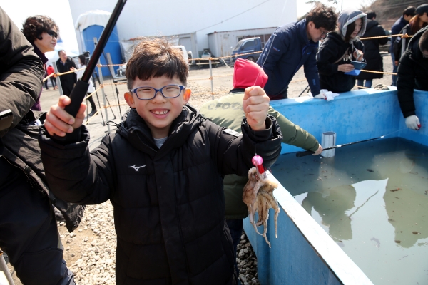 제20회 동백꽃주꾸미 축제(어린이주꾸미낚시체험)