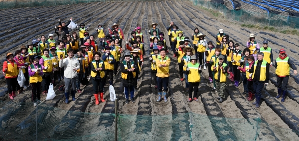 중구자원봉사센터, 이웃과 나눌 씨감자 심어