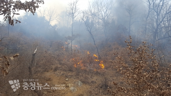 세종시 연서면 군부대 사격장 불