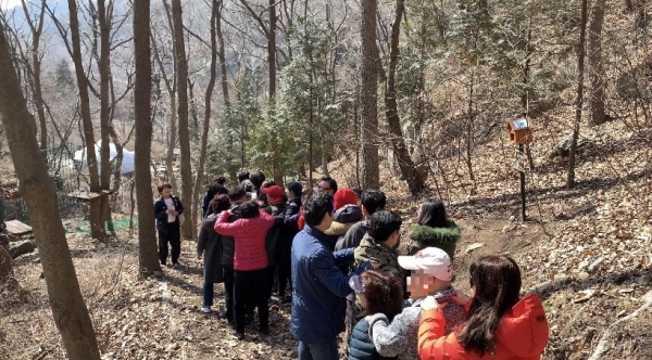 북한이탈주민이 19일 전남 장성군 방장로 국립장성숲체원 산림교육센터에서 숲속레크리에이션 활동을 하고 있다