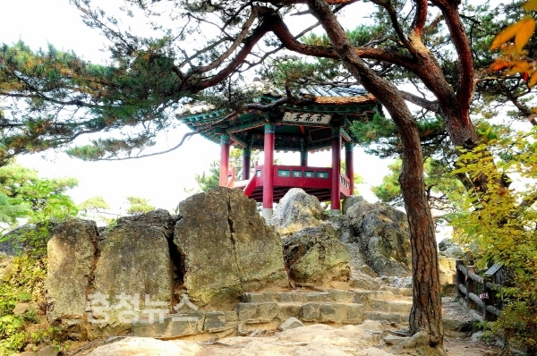 부여군 부소산성