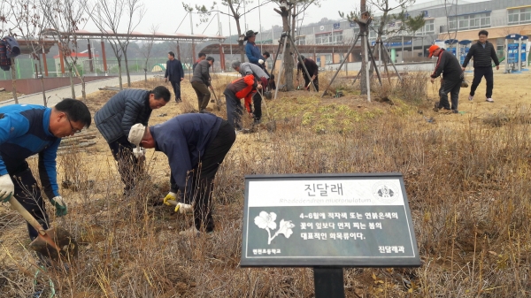 면천초 진달래동산 조성