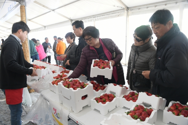 맛있는 딸기 주세요