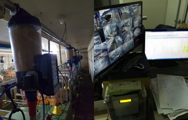 축산분야 ICT활용