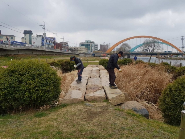 유충 구제제 투척 장면