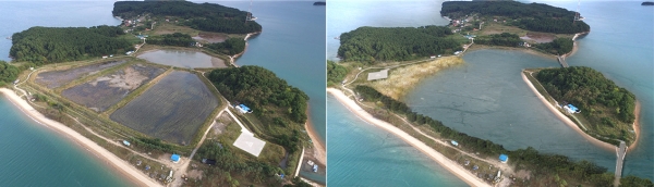 (좌)고파도 갯벌 복원 이전 (우)고파도 갯벌 복원 이후