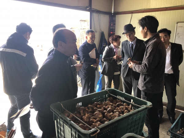 서천군 군민평가단, 2019년 본격 활동 개시