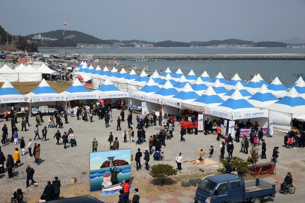 제20회 동백꽃주꾸미 축제, 대단원 막 내려 (행사장 모습)