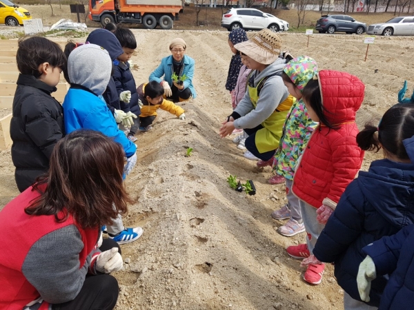 2019 어린이 도시텃밭학교