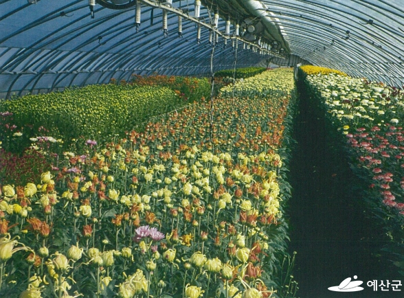 예산수출국화단지, 농산물전문생산단지 평가 ‘최우수’ 선정