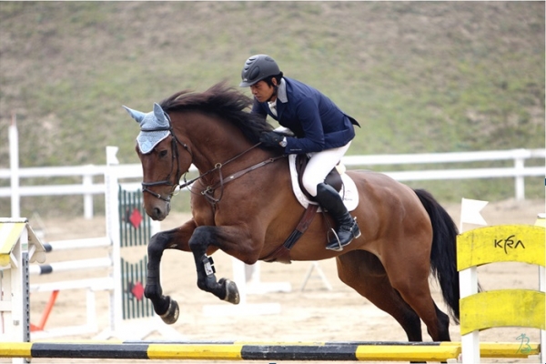 승마대회 경기 모습