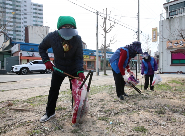공공근로사업 환경정화활동 모습.