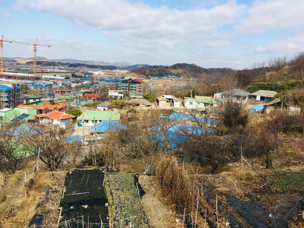 서천군, 새뜰마을사업에 2개 마을 공모 선정(성주 1리 마을 전경)