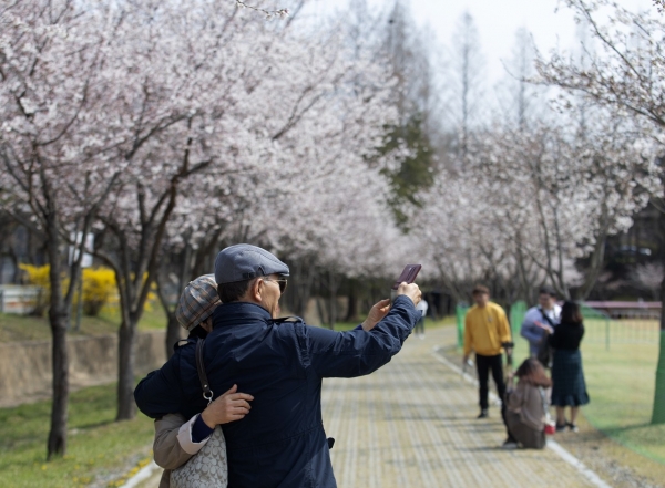 축제 탐방객 모습