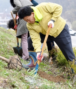 중구, 식목일 나무심기에 참가한 박용갑 구청장