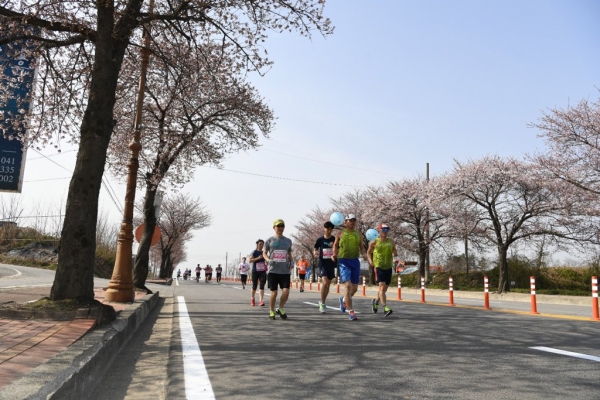 제15회 예산윤봉길마라톤대회 성료