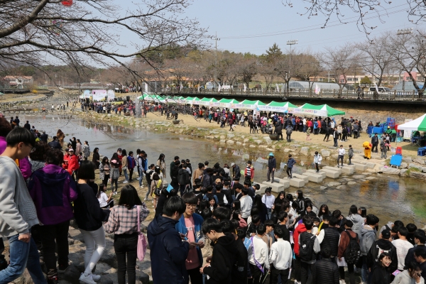 금산천 봄꽃축제 성료