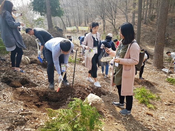 탄생목 심기행사