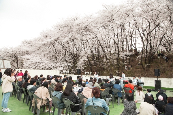 2019 프리뷰_테미 벚꽃콘서트