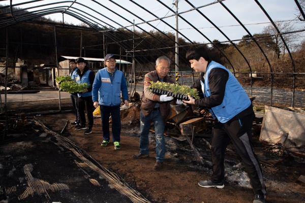 KT&G, 잎담배 농가 이식 봉사활동