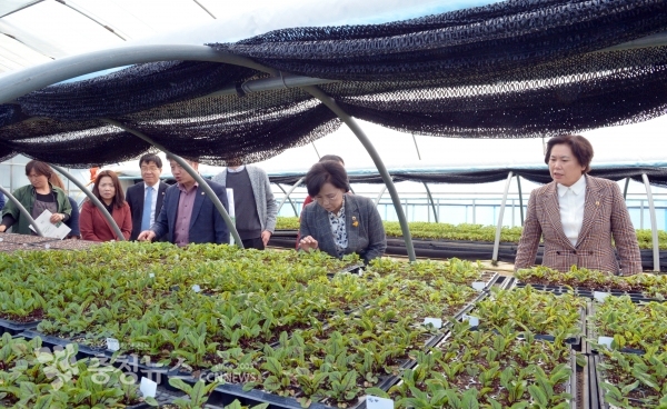 충남도의회 마을복지 활성화 세미나