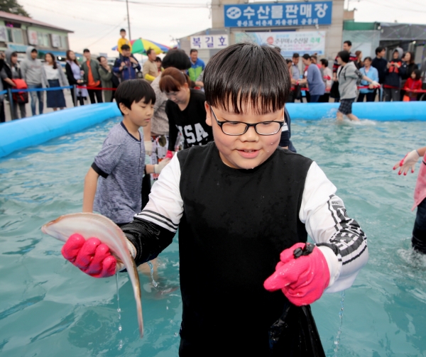 몽산포항 주꾸미 축제