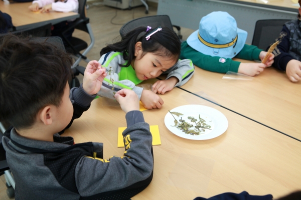 풀꽃액자 만드는중