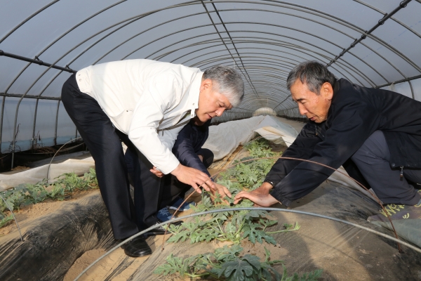 문정우 금산군수 새벽영농현장 소통행정 모습