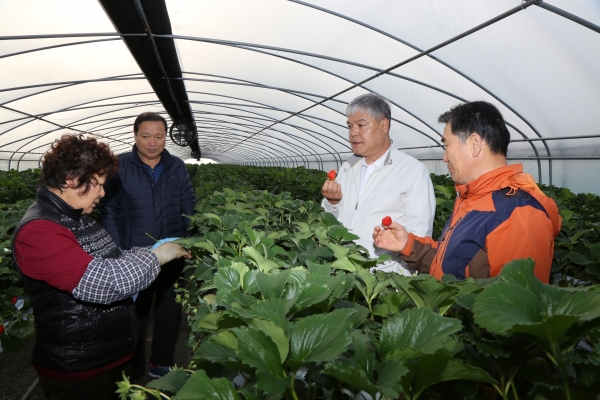 문정우 금산군수 새벽영농현장 소통행정 모습