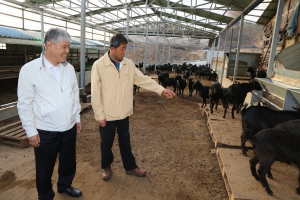 문정우 금산군수 새벽영농현장 소통행정 모습