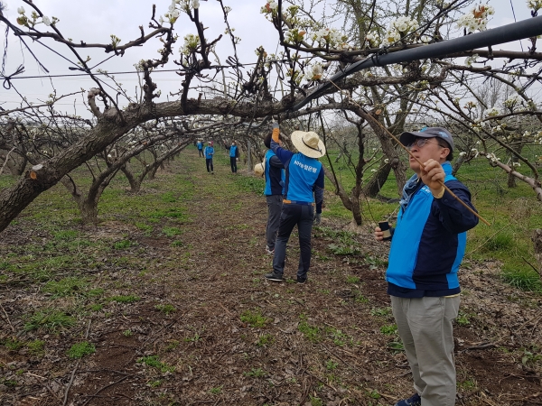 농협은행 충남본부 배화접 봉사활동 실시