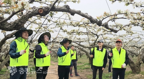 유찬형 농협중앙회상무, 류병관 농협노조충남세종지역위원장, 홍순광 농협천안시지부장, 차상락  성환농협조합장 등이 배화접 일손을 돕고있다.