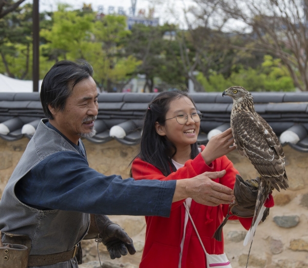 매사냥 체험 모습