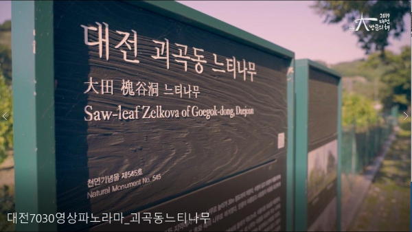 대전스카이로드에서 '오감만족 행복한 대전여행(대전이 좋다!)' 영상전 개최