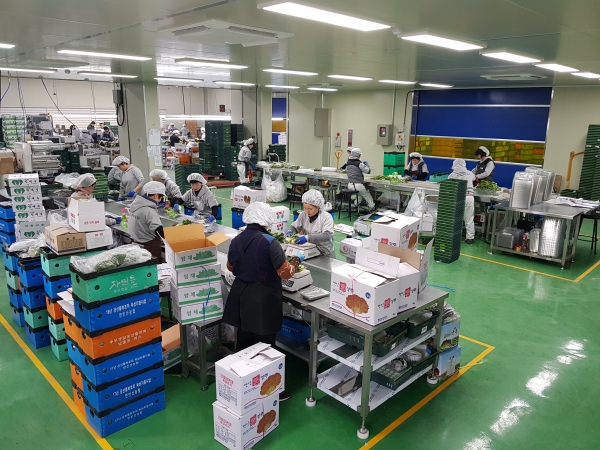 신선농산물 해외수출-만인산농협