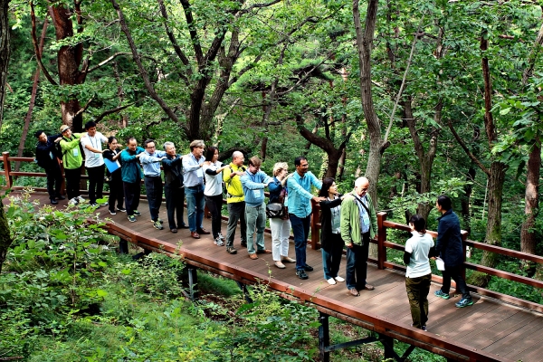 국립산림치유원 마실치유숲길데크로드 숲산책프로그램.