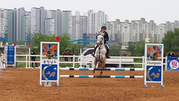 제1회 아산시장배전국승마대회 개최 모습
