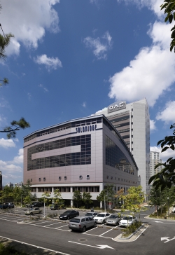 솔브릿지 국제경영대학