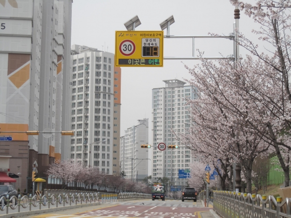 연화초등학교 어린이보호구역 내 과속경보시스템 설치