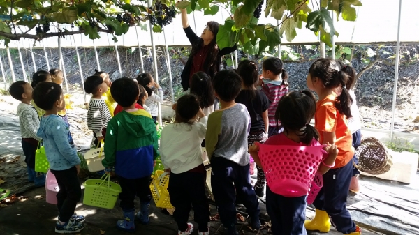 농촌체험여행 장면