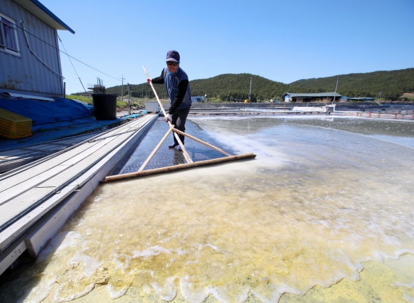마금리 염전 송화소금