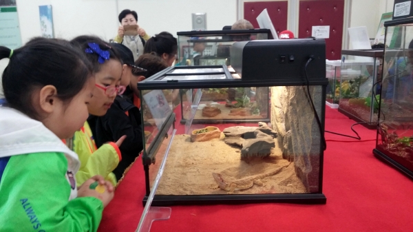 지난해 대청호자연생태관 자연생태전시회