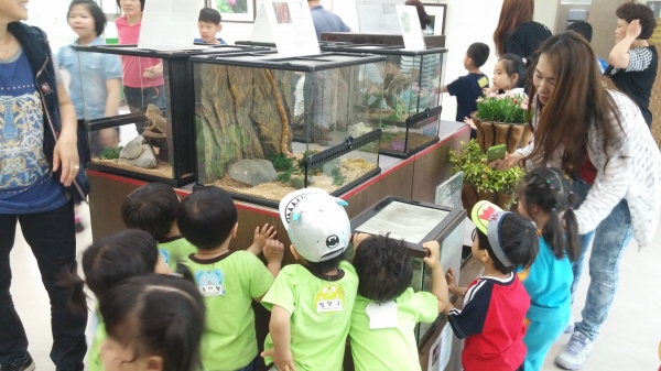 지난해 대청호자연생태관 자연생태전시회